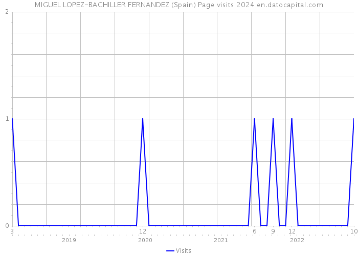 MIGUEL LOPEZ-BACHILLER FERNANDEZ (Spain) Page visits 2024 