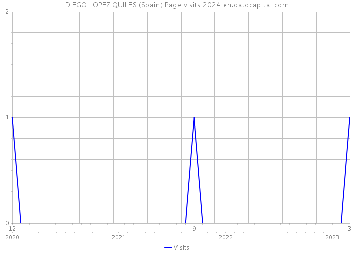 DIEGO LOPEZ QUILES (Spain) Page visits 2024 