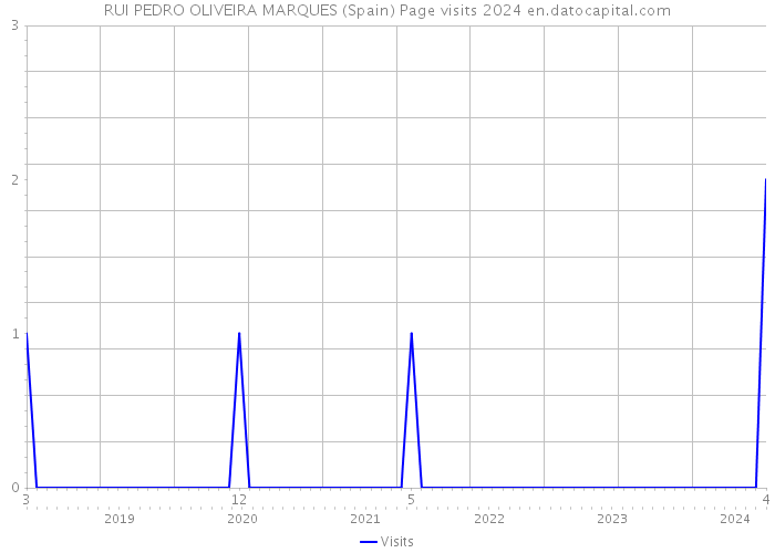 RUI PEDRO OLIVEIRA MARQUES (Spain) Page visits 2024 