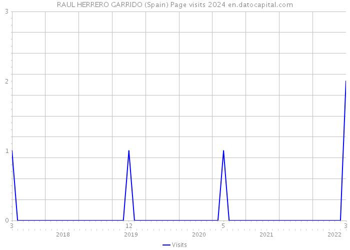 RAUL HERRERO GARRIDO (Spain) Page visits 2024 