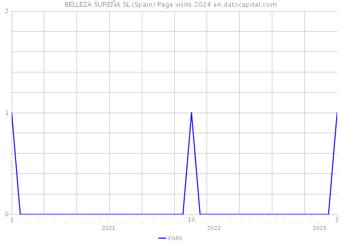 BELLEZA SUREÑA SL (Spain) Page visits 2024 
