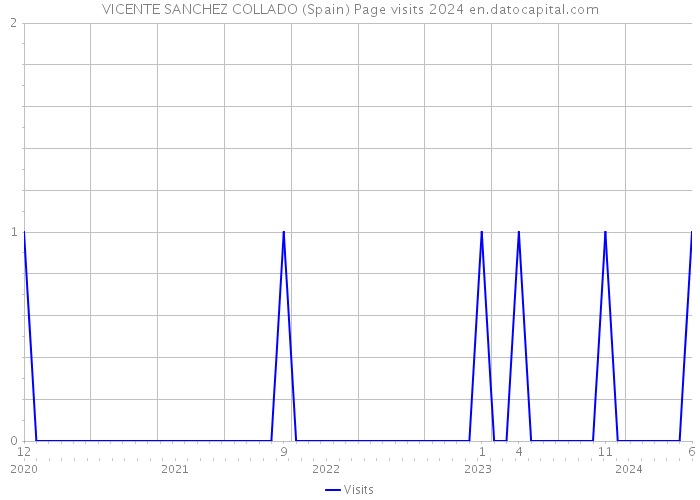 VICENTE SANCHEZ COLLADO (Spain) Page visits 2024 