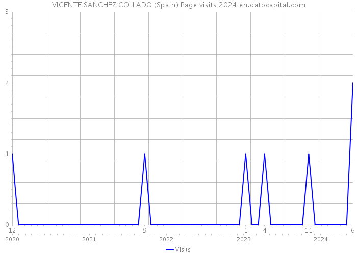 VICENTE SANCHEZ COLLADO (Spain) Page visits 2024 