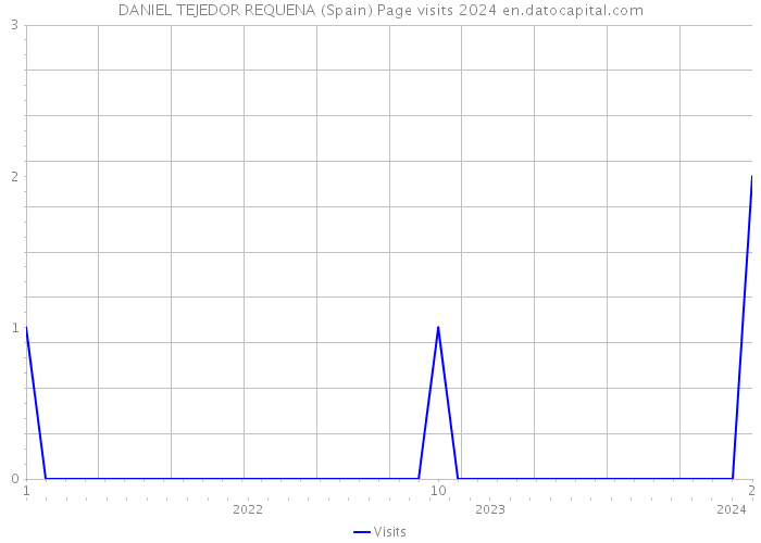 DANIEL TEJEDOR REQUENA (Spain) Page visits 2024 