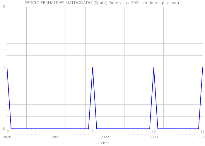 SERGIO FERNANDEZ MALDONADO (Spain) Page visits 2024 