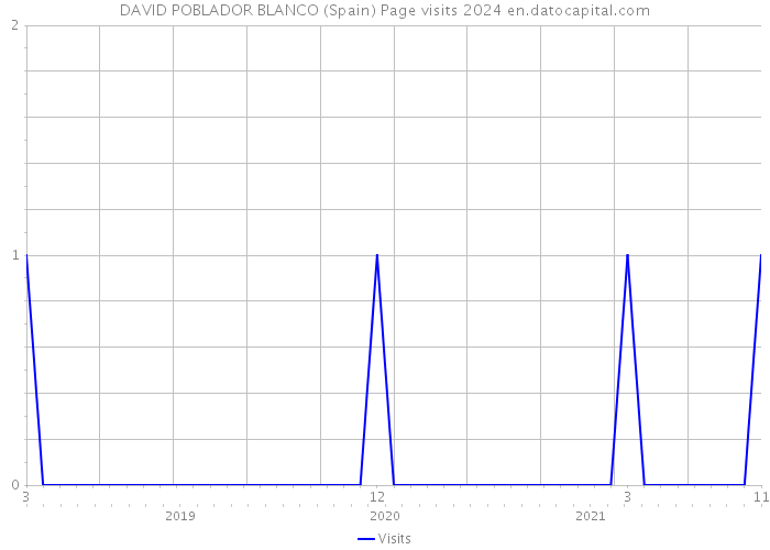 DAVID POBLADOR BLANCO (Spain) Page visits 2024 