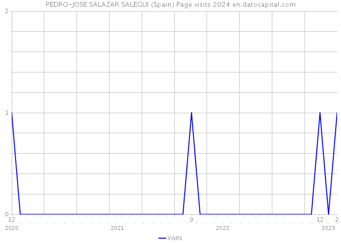 PEDRO-JOSE SALAZAR SALEGUI (Spain) Page visits 2024 