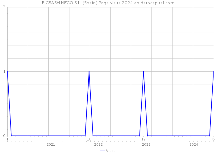 BIGBASH NEGO S.L. (Spain) Page visits 2024 