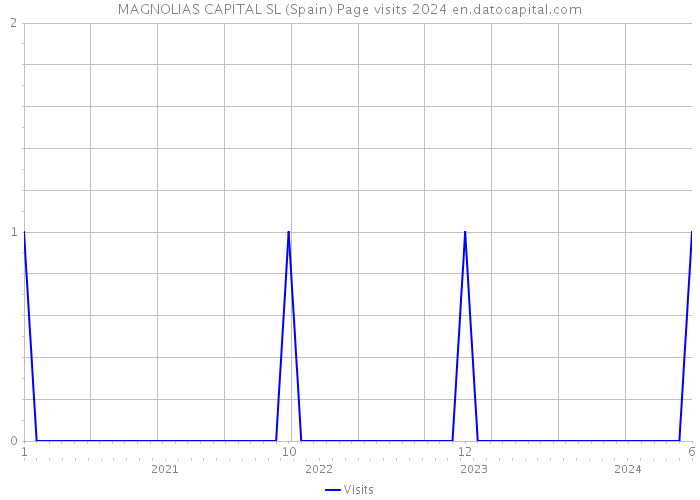 MAGNOLIAS CAPITAL SL (Spain) Page visits 2024 
