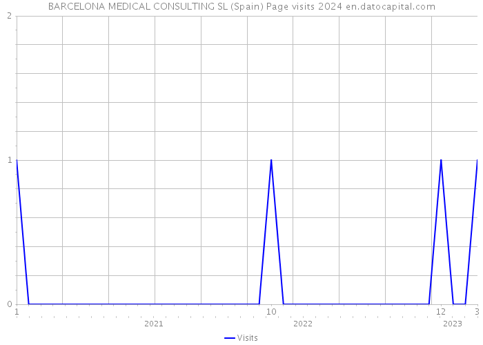BARCELONA MEDICAL CONSULTING SL (Spain) Page visits 2024 