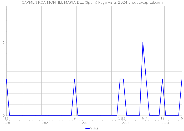 CARMEN ROA MONTIEL MARIA DEL (Spain) Page visits 2024 