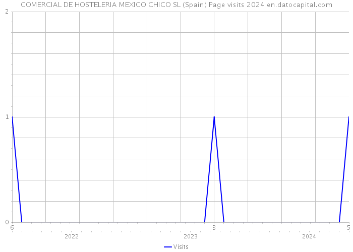 COMERCIAL DE HOSTELERIA MEXICO CHICO SL (Spain) Page visits 2024 