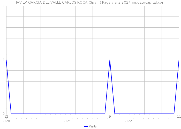 JAVIER GARCIA DEL VALLE CARLOS ROCA (Spain) Page visits 2024 