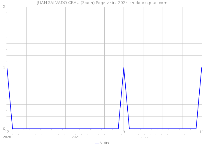 JUAN SALVADO GRAU (Spain) Page visits 2024 