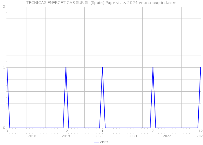 TECNICAS ENERGETICAS SUR SL (Spain) Page visits 2024 