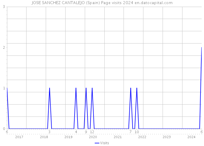 JOSE SANCHEZ CANTALEJO (Spain) Page visits 2024 