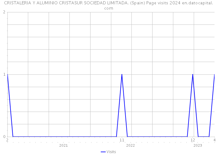 CRISTALERIA Y ALUMINIO CRISTASUR SOCIEDAD LIMITADA. (Spain) Page visits 2024 