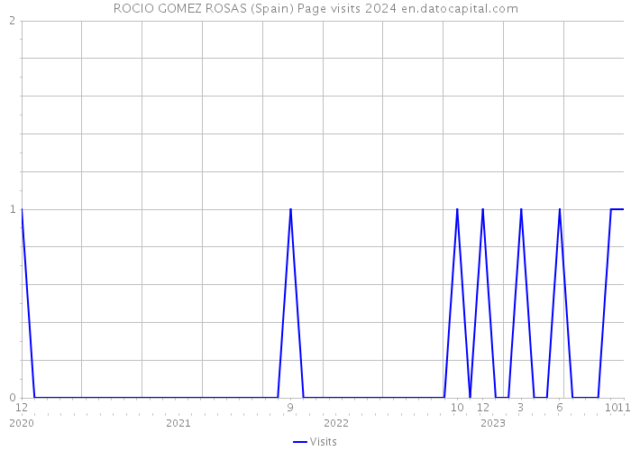 ROCIO GOMEZ ROSAS (Spain) Page visits 2024 