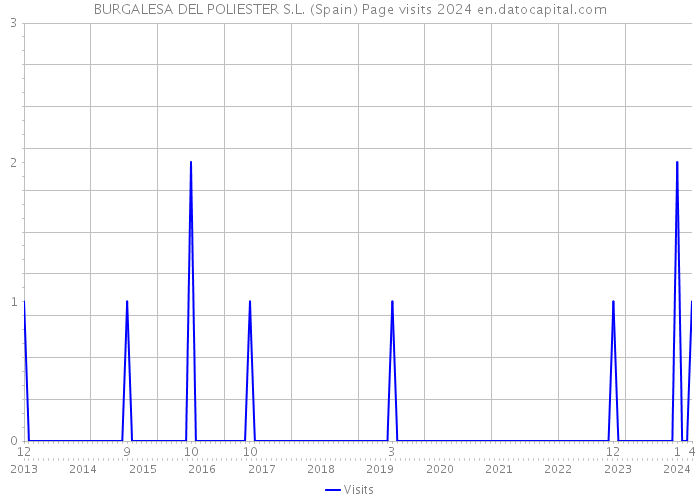 BURGALESA DEL POLIESTER S.L. (Spain) Page visits 2024 