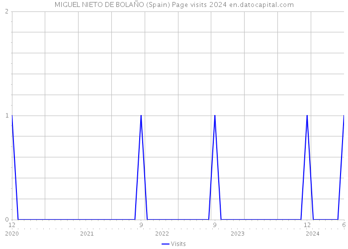 MIGUEL NIETO DE BOLAÑO (Spain) Page visits 2024 