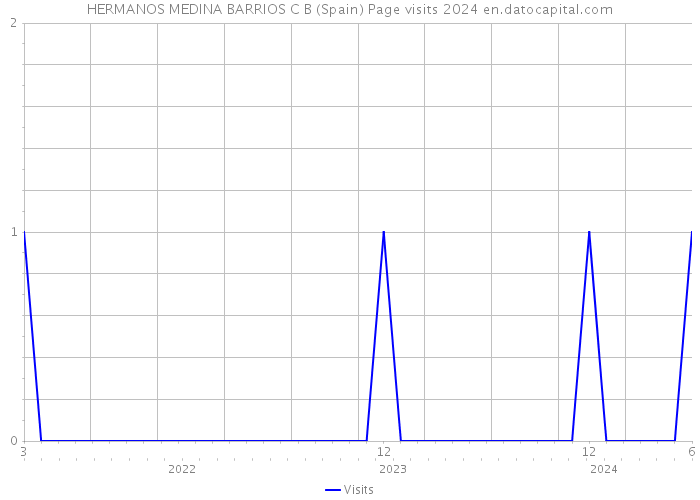 HERMANOS MEDINA BARRIOS C B (Spain) Page visits 2024 