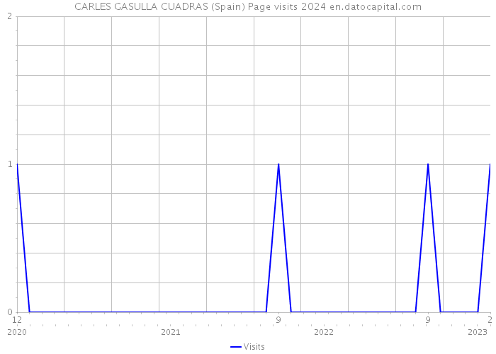 CARLES GASULLA CUADRAS (Spain) Page visits 2024 