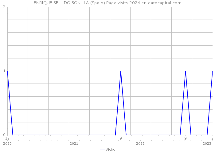 ENRIQUE BELLIDO BONILLA (Spain) Page visits 2024 