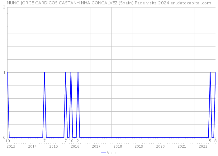 NUNO JORGE CARDIGOS CASTANHINHA GONCALVEZ (Spain) Page visits 2024 