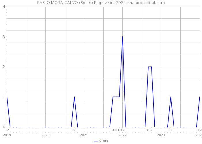 PABLO MORA CALVO (Spain) Page visits 2024 