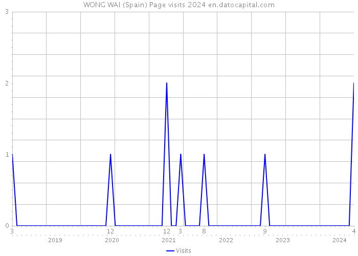 WONG WAI (Spain) Page visits 2024 