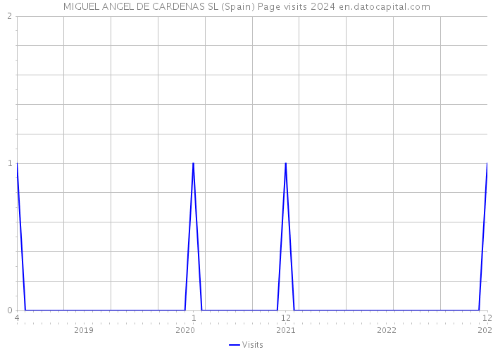 MIGUEL ANGEL DE CARDENAS SL (Spain) Page visits 2024 