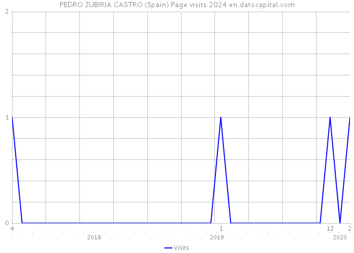 PEDRO ZUBIRIA CASTRO (Spain) Page visits 2024 