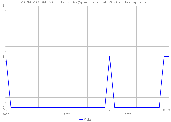 MARIA MAGDALENA BOUSO RIBAS (Spain) Page visits 2024 