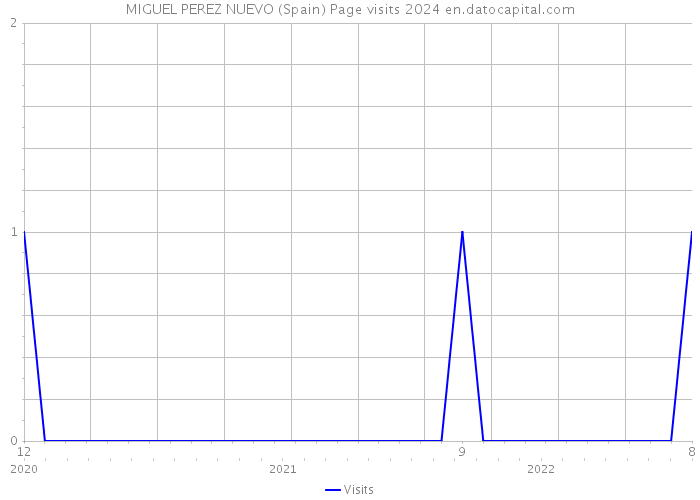 MIGUEL PEREZ NUEVO (Spain) Page visits 2024 