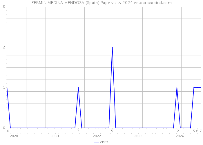 FERMIN MEDINA MENDOZA (Spain) Page visits 2024 