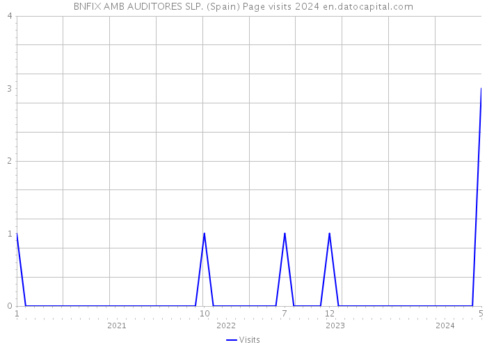 BNFIX AMB AUDITORES SLP. (Spain) Page visits 2024 