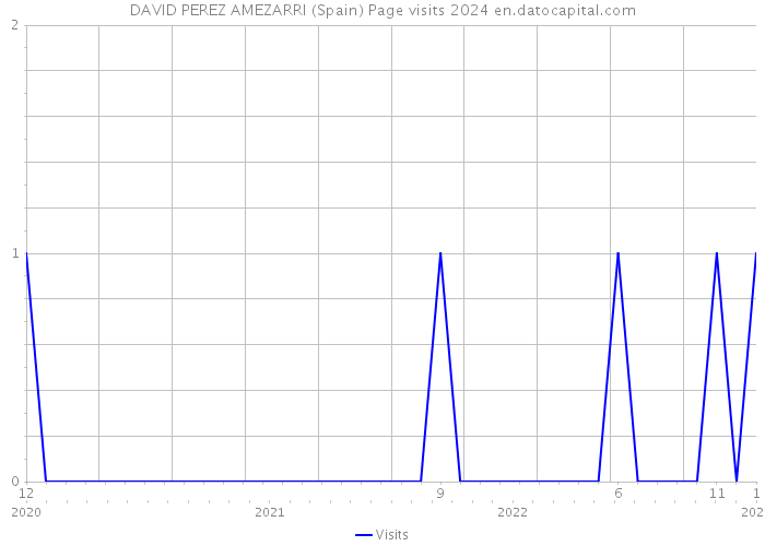 DAVID PEREZ AMEZARRI (Spain) Page visits 2024 