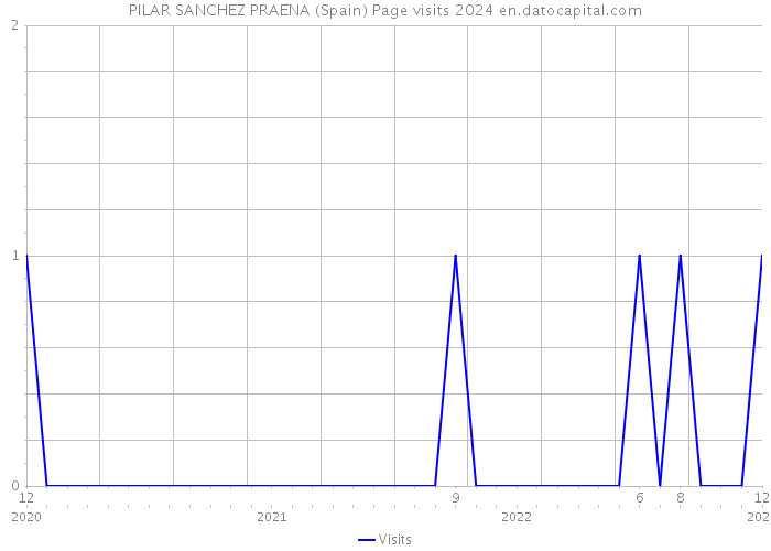PILAR SANCHEZ PRAENA (Spain) Page visits 2024 