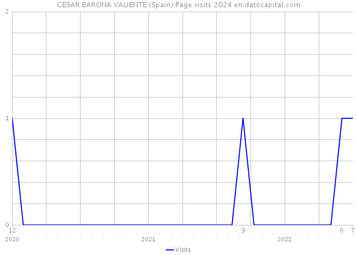 CESAR BARONA VALIENTE (Spain) Page visits 2024 