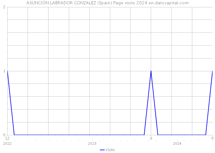 ASUNCION LABRADOR GONZALEZ (Spain) Page visits 2024 