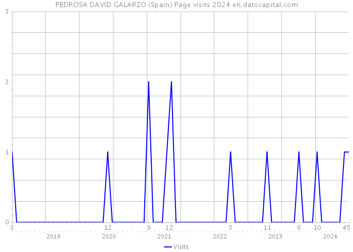 PEDROSA DAVID GALARZO (Spain) Page visits 2024 
