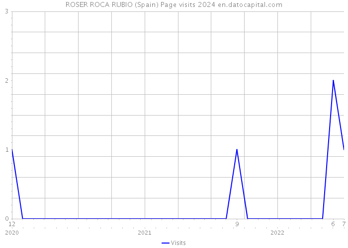 ROSER ROCA RUBIO (Spain) Page visits 2024 