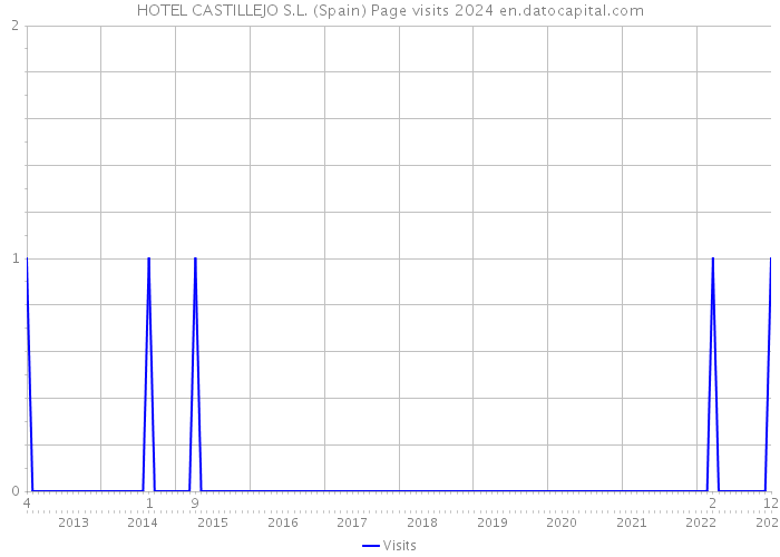 HOTEL CASTILLEJO S.L. (Spain) Page visits 2024 