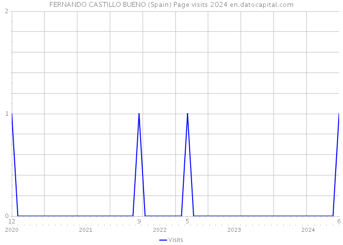 FERNANDO CASTILLO BUENO (Spain) Page visits 2024 