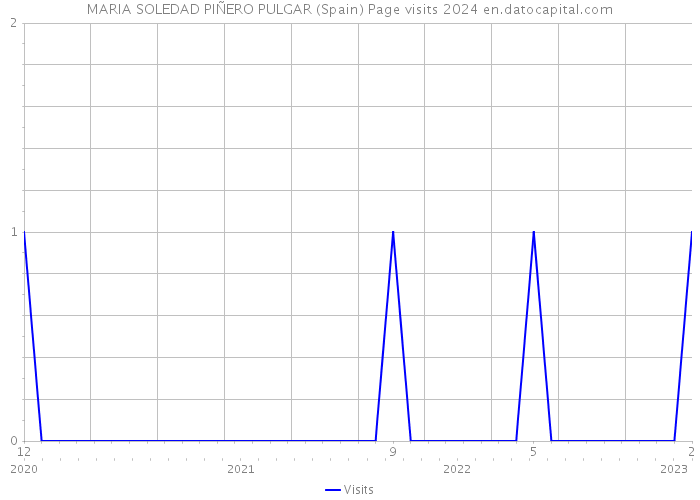 MARIA SOLEDAD PIÑERO PULGAR (Spain) Page visits 2024 