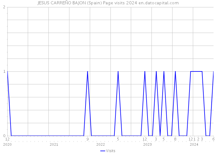 JESUS CARREÑO BAJON (Spain) Page visits 2024 