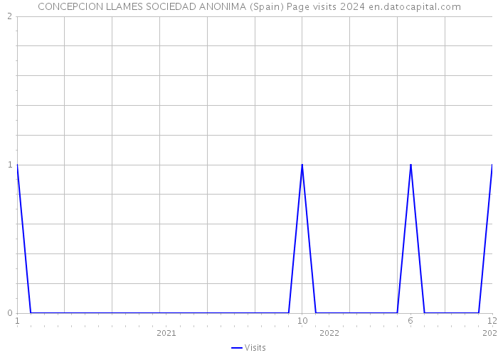 CONCEPCION LLAMES SOCIEDAD ANONIMA (Spain) Page visits 2024 