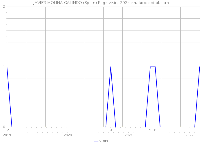 JAVIER MOLINA GALINDO (Spain) Page visits 2024 