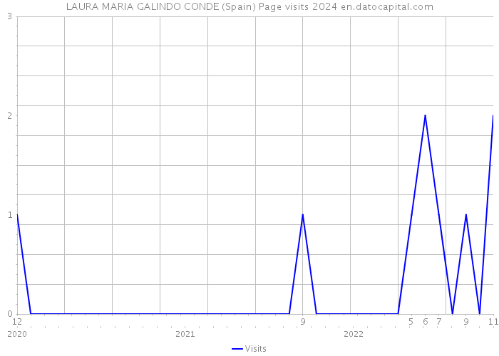 LAURA MARIA GALINDO CONDE (Spain) Page visits 2024 