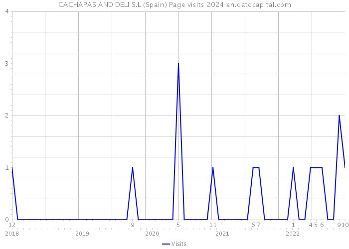 CACHAPAS AND DELI S.L (Spain) Page visits 2024 